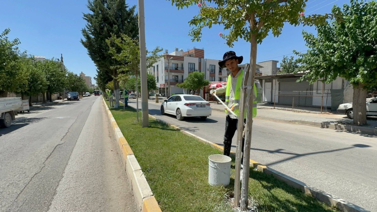 Adıyaman Belediyesi'nden Ağaçlara “Beyaz” Koruma